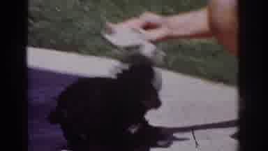 Yorba Linda California USA (1962): White Person With White Sock Playing With Black
