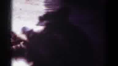 Yorba Linda California USA (1962): Two Dogs Pooches Playing Poodle Tug-O-War On