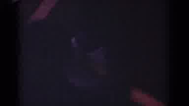 Yorba Linda California USA (1962): A Dog Tries To Get The Attention Of Its Owner