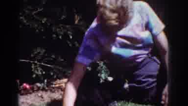 Yorba Linda California USA (1962): Woman Playing With Dogs