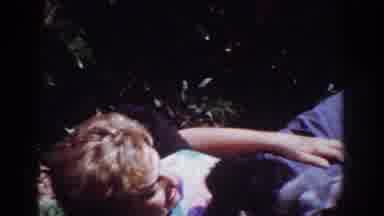 Yorba Linda California USA (1962): Woman Plays With Her Dogs On A Beautiful Sunny
