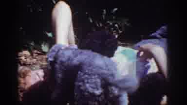 Yorba Linda California USA (1962): Woman Lying On The Ground Cuddling Two Poodles