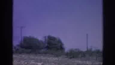 Memphis Tennessee USA (1963): The Scene Moves Fast As Several Trees And Road Signs