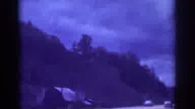 Memphis Tennessee USA (1963): Driving On The Highway With Forests On Either Side