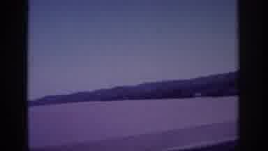 Memphis Tennessee USA (1963): Driving Or On A Train Looking Over To See An Animal