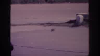 Memphis Tennessee USA (1963): Shaky Camera Showing A Dying Bird Along With 1950s