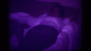 Memphis Tennessee USA (1963): Dog On Bed