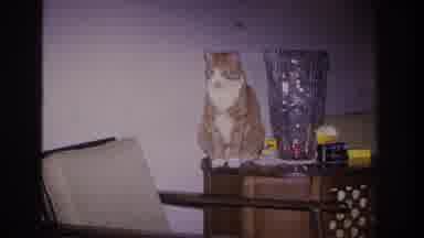 Hoboken New Jersey USA (1966): Orange And White Cat Stepping Down From Table Into