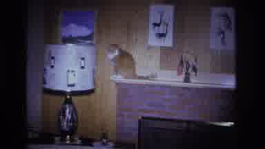 Hoboken New Jersey USA (1966): Orange Cat Sitting On Fireplace Hearth Next To Lamp