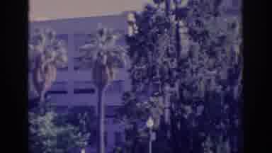 Sacramento California USA (1966): Boy Greets In A Park