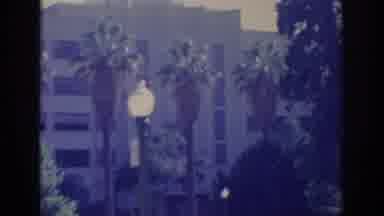 Sacramento California USA (1966): Scenery Of Beautiful Building Surrounded By Tall