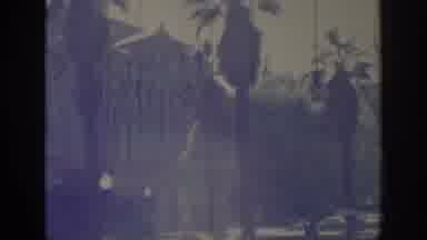 Sacramento California USA (1966): A Car Drives Down A Grassy Palm Tree Lined