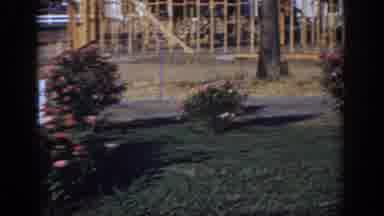 Sacramento California USA (1966): Beautiful And Quiet Day Out In The Country On