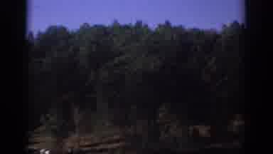 Sacramento California USA (1966): Summer Or Fall At The Lake, Bring Some Friends,