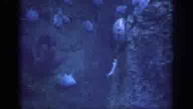 Oklahoma USA (1967): Crab Underwater Shipwreck Ocean Sea Water Animal Deep Dive