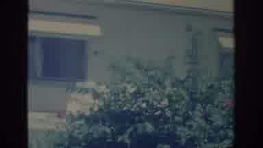 Oklahoma USA (1967): A Bush In A Yard Near The Windows Of A House