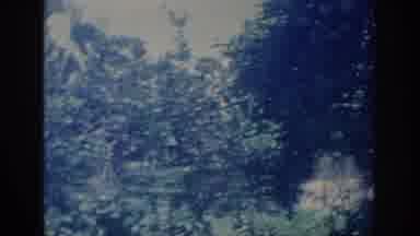 Oklahoma USA (1967): Old School Phototage Of Trees In A Backyard