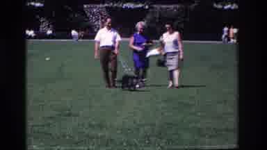 Ocean City New Jersey USA (1968): Man And Two Woman And A Dog Walk Slowly In The