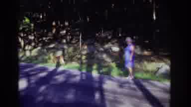 Ocean City New Jersey USA (1968): An Old Woman Stands Next To A Deer On The Side