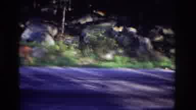 Ocean City New Jersey USA (1968): Several Large Rocks On Next To Some Trees As A