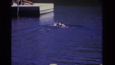 Ocean City New Jersey USA (1968): Swimming Monkey Trying To Get To The Dock