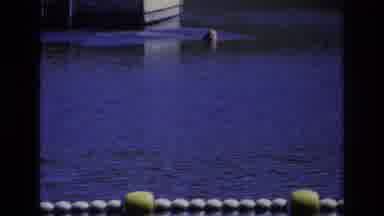 Ocean City New Jersey USA (1968): Swimming In A Body Of Water Doing The Front