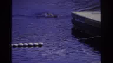 Ocean City New Jersey USA (1968): A Small, Female Child Swimming, In The Lake,