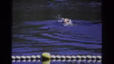 Ocean City New Jersey USA (1968): A Child Swimming In A Lake