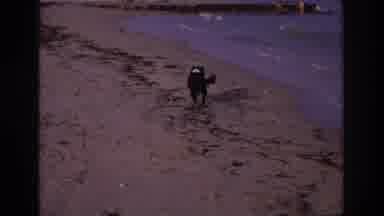 Ocean City New Jersey USA (1968): Beach Children Dog Moments Happiness