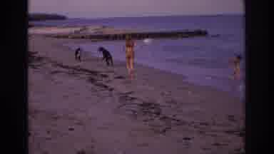Ocean City New Jersey USA (1968): Kids At The Beach Running And Playing With