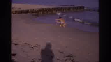 Ocean City New Jersey USA (1968): Kids Playing In Sand Stop Run Away From Water