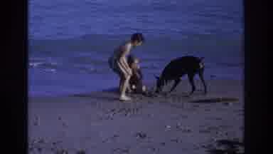 Ocean City New Jersey USA (1968): Young Ones Playing With Their Furry Friend As