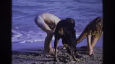 Ocean City New Jersey USA (1968): Dog Children Build Castle In The Sand On Summer
