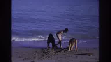 Ocean City New Jersey USA (1968): Children Play With A Dog On The Beach All Of
