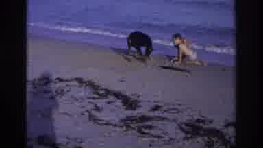 Ocean City New Jersey USA (1968): Beach Water Swim Dog Children People Fun