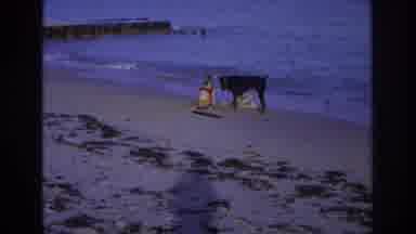 Ocean City New Jersey USA (1968): Beach Vacation Where Children And Dog Play