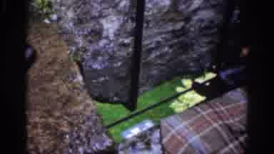 Dublin Ireland (1961): Garden Picnic Man View Castle Trees Grass Blanket Stone