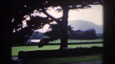 Dublin Ireland (1961): Scenes Of Parkland And Ruins From A Medieval Estate