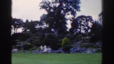 Dublin Ireland (1961): Botanical Garden With Many Green Areas And Natural Flowers