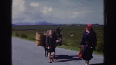 Dublin Ireland (1961): Small Group Of People With Loaded Mules Walking On Road