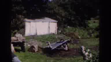 Dublin Ireland (1961): The Rural Life
