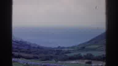 Ireland (1961): A Hilly Expanse Of Green Trees And Bushes Overlooking The Ocean