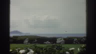 Ireland (1961): Views Of Green Grass, Foliage, And Flowers By The Water With