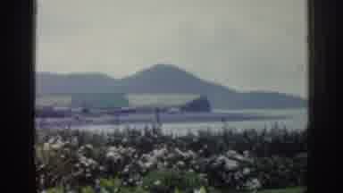 Ireland (1961): Views Of Farmland Vegetation With Lake And Mountain Silhouette