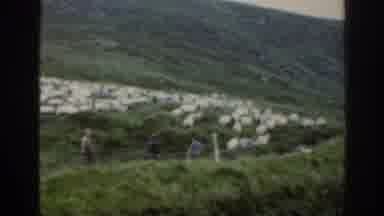 Ireland (1961): Flock Of Sheep On The Hillside