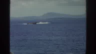 Ireland (1961): Footage Of Water With Waves Breaking In Distance, Cuts To A Shrine