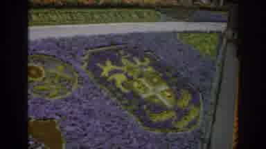 SCOTLAND-1961: Floral Shield Emblem Made of Purple and Green Flowers