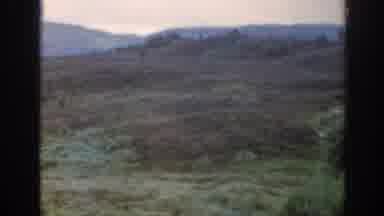 Scotland (1961): Video Of A Green Lush Countryside Pasture In The Daytime