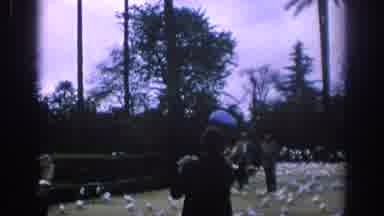 Spain (1966): Feeding Pigeons In Park