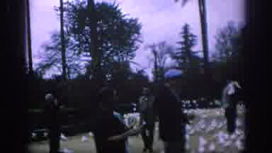 Spain (1966): Many Pigeons Flying And Roaming Around People